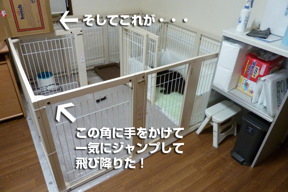 kotetsu_house2.jpg