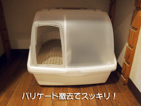 cat_toilet4.jpg