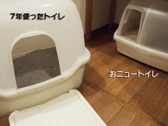 cat_toilet5.jpg